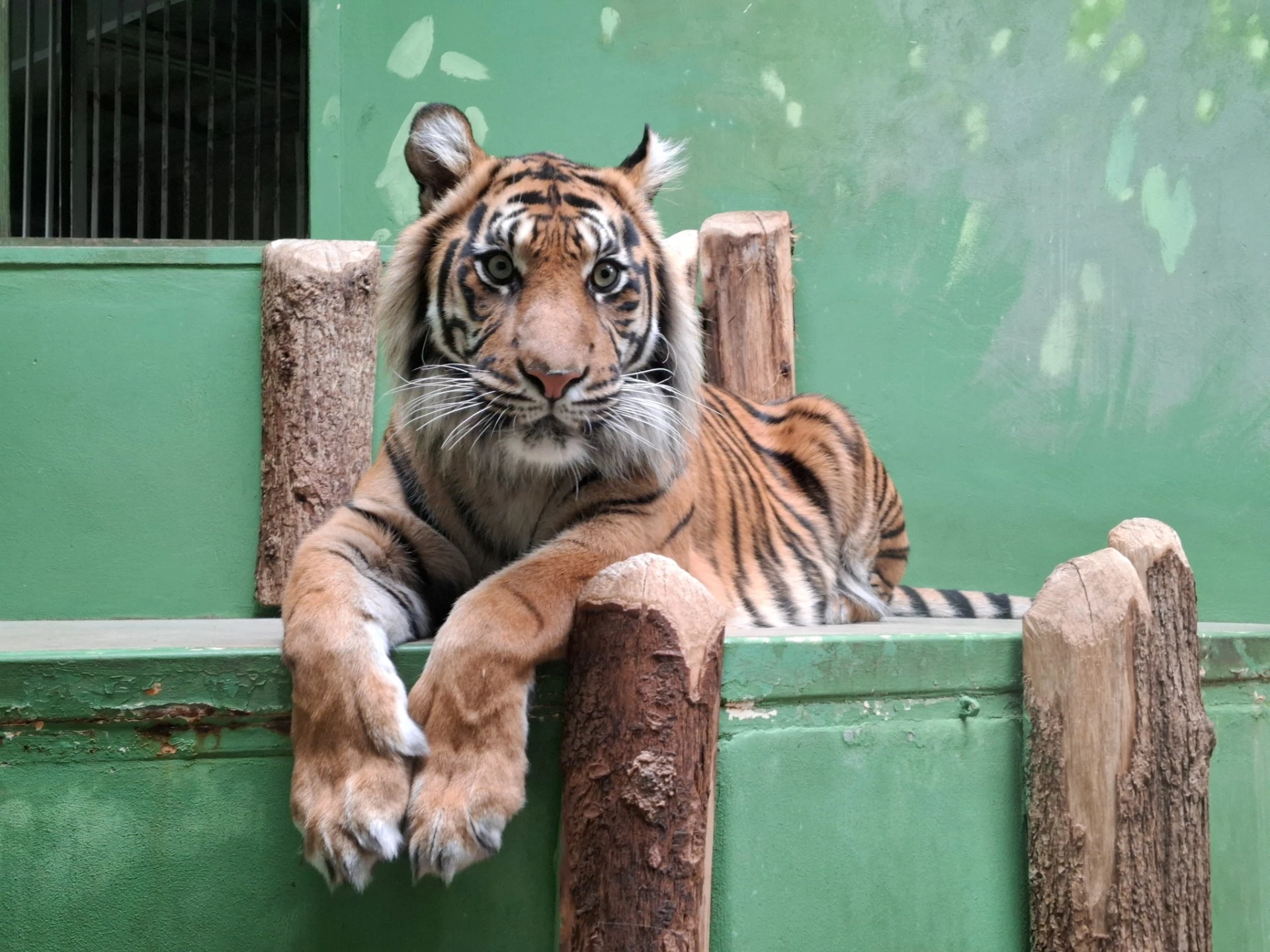 26.3. 2026 Zoo Praha